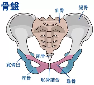 肩こり